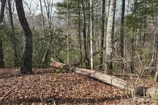 00 Round Hill Rd, Bryson City, NC 28713 - Photo 5