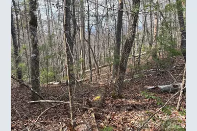 00 Round Hill Road #14, Bryson City, NC 28713 - Photo 17