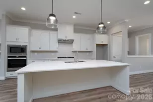 15132 Rocky Bluff Loop, Davidson, NC 28036 - Photo 13