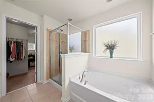 10666 Sapphire Trail, Davidson, NC 28036 - Photo 19