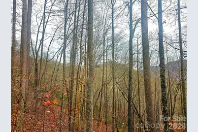 000 Quiet Cove Road #4,5,7,11,12,14,15, Sylva, NC 28779 - Photo 21