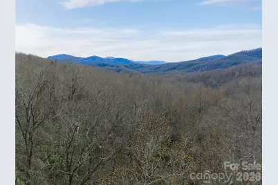 99999 Nc 9 Highway, Black Mountain, NC 28711 - Photo 17