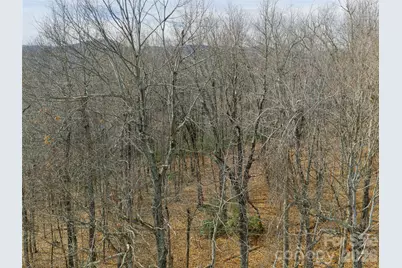 99999 Nc 9 Highway, Black Mountain, NC 28711 - Photo 9