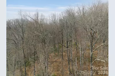 99999 Nc 9 Highway, Black Mountain, NC 28711 - Photo 19