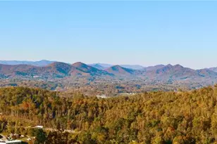 9 Soaring Hawk Vw, Asheville, NC 28804 - Photo 5