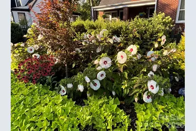 514 Jackson Park Road, Kannapolis, NC 28083 - Photo 45