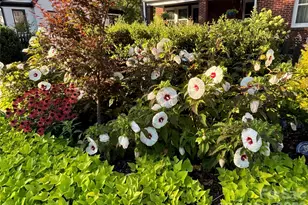 514 Jackson Park Rd, Kannapolis, NC 28083 - Photo 45