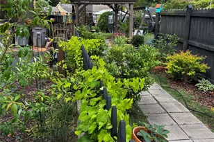 514 Jackson Park Rd, Kannapolis, NC 28083 - Photo 47