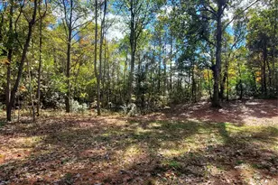 118 Vly Spgs Dr, Olin, NC 28660 - Photo 27