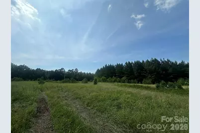 0 Hwy 73 Highway, Iron Station, NC 28080 - Photo 3