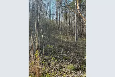 288 Coolbrook Road, Union Grove, NC 28689 - Photo 11