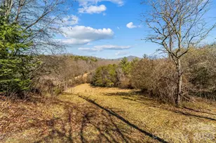 350 Sandy Bottom Rd, Marshall, NC 28753 - Photo 19