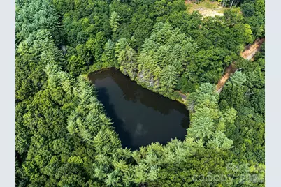 99999 Gordon Lane, Burnsville, NC 28714 - Photo 9