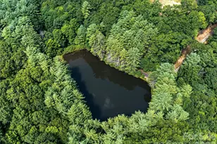 99999 Gordon Ln, Burnsville, NC 28714 - Photo 9