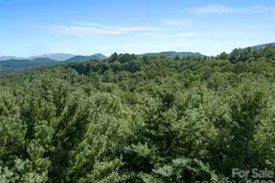 99999 Gordon Ln, Burnsville, NC 28714 - Photo 5