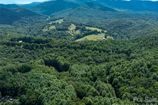 99999 Gordon Ln, Burnsville, NC 28714 - Photo 3