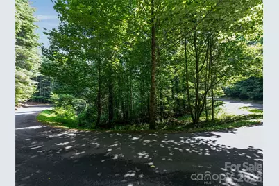 99999 Gordon Lane, Burnsville, NC 28714 - Photo 7