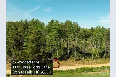 0000 Three Forks Lane, Granite Falls, NC 28630 - Photo 5