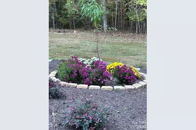 203 Burnt Chimney Lane, Rutherfordton, NC 28139 - Photo 35