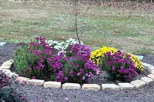 203 Burnt Chimney Ln, Rutherfordton, NC 28139 - Photo 35