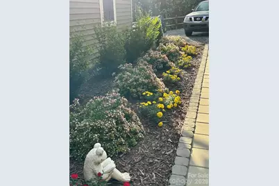 203 Burnt Chimney Lane, Rutherfordton, NC 28139 - Photo 29