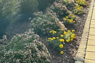 203 Burnt Chimney Ln, Rutherfordton, NC 28139 - Photo 29