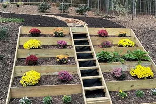 203 Burnt Chimney Ln, Rutherfordton, NC 28139 - Photo 37