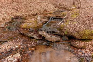 203 Burnt Chimney Ln, Rutherfordton, NC 28139 - Photo 27