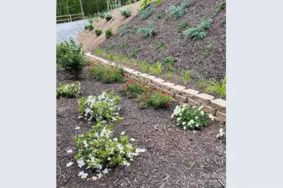 203 Burnt Chimney Lane, Rutherfordton, NC 28139 - Photo 33