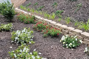 203 Burnt Chimney Ln, Rutherfordton, NC 28139 - Photo 33