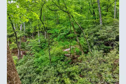 00 Locust Grove Road #2, Hendersonville, NC 28792 - Photo 9