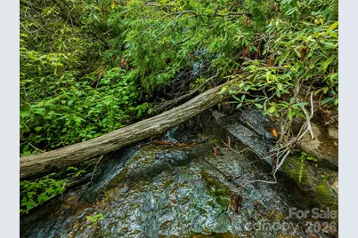 00 Locust Grove Road #2, Hendersonville, NC 28792 - Photo 7