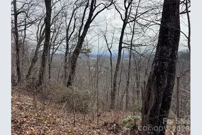 00 Locust Grove Road #2, Hendersonville, NC 28792 - Photo 11