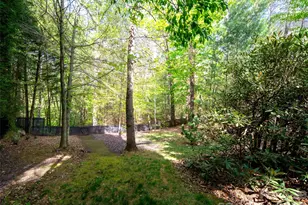 1002 Coves Pheasant Ct, Biltmore Lake, NC 28715 - Photo 43