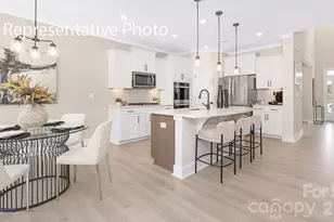 7133 Butternut Oak Ter, Huntersville, NC 28078 - Photo 3