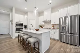 8679 Miles Gap Rd, Indian Land, SC 29707 - Photo 9