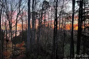 2866 Backwoods Trail, Denver, NC 28037 - Photo 43