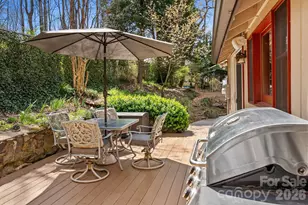 48 Springvale Ave, Asheville, NC 28803 - Photo 45