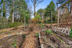 48 Springvale Ave, Asheville, NC 28803 - Photo 35