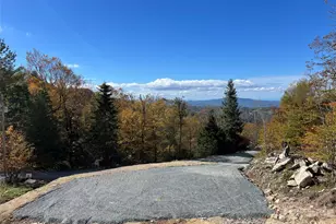 145 Raven Rd, Beech Mountain, NC 28604 - Photo 1