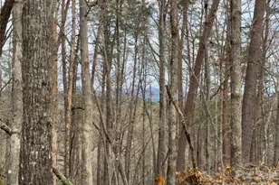 Lots 4-7 Carmel Ridge, Rutherfordton, NC 28139 - Photo 1