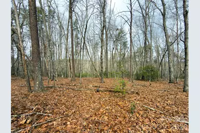 Lots 4-7 Carmel Ridge, Rutherfordton, NC 28139 - Photo 3