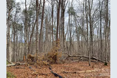 Lots 4-7 Carmel Ridge, Rutherfordton, NC 28139 - Photo 15