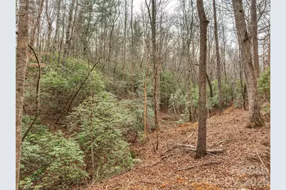 Lots 4-7 Carmel Ridge, Rutherfordton, NC 28139 - Photo 9