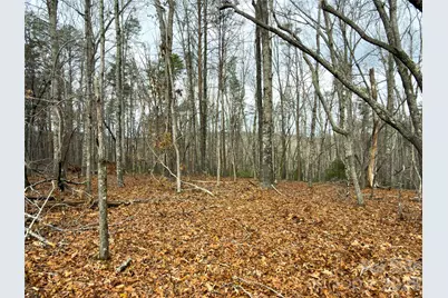 Lots 4-7 Carmel Ridge, Rutherfordton, NC 28139 - Photo 13