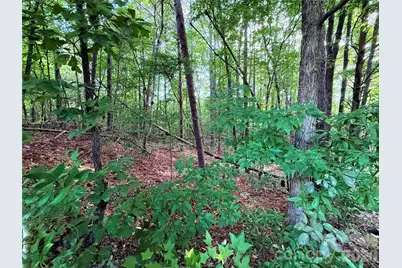 Lot 101 Carlie Street, Norwood, NC 28128 - Photo 3