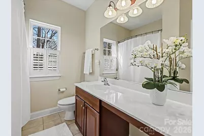 108 Braxton Gate Court, Mount Holly, NC 28120 - Photo 31