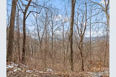 Lot #8 Viewpoint Mountain, Waynesville, NC 28786 - Photo 7
