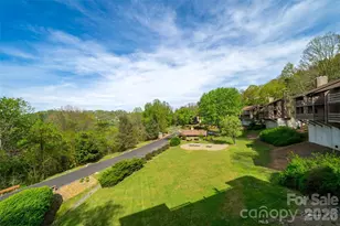 305 Piney Mountain Dr, Asheville, NC 28805 - Photo 29