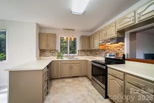 305 Piney Mountain Dr, Asheville, NC 28805 - Photo 5